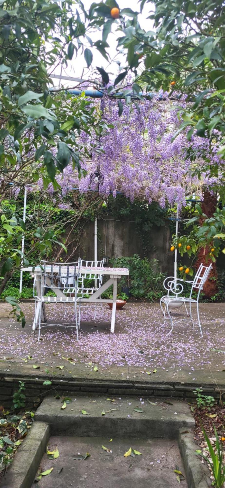 Studio Apartman Meljine ภายนอก รูปภาพ